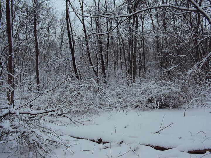 2010 012.jpg